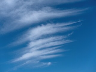 Cirrus clouds in the blue sky. Sunny weather.