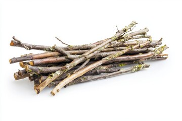 A Pile of Dry Twigs