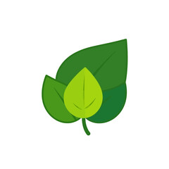 Green Leaf Logo Design Nature Ecology Icon Fresh Spring Growth Environmental Symbol Sustainable Plant Simple Minimalist Vector Illustration Graphic Design Element for Corporate Branding Identity      