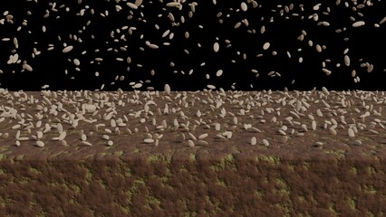 Grass seeds falling on lawn. Seeds sprinkled on lawn. 
Sprinkling, overseeding grass seeds on soil.
3d render illustration.
