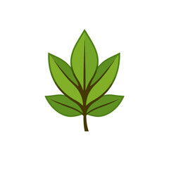 Green Leaf Nature Plant Spring Ecology Icon Symbol Graphic Design Element Illustration Organic Botanical Fresh Growth Wellness Healthy Natural Environmental Eco Friendly Sustainable Renewable         
