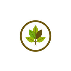 Simple Green Leaves Nature Eco Friendly Organic Plant Branch Design Logo Icon Symbol Illustration Graphic Image for Business Branding Template Vector Art leaf life tree fresh clean color brown round  