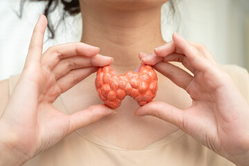 Hyperthyroidism, Overactive Thyroid, Thyroid Lymphoma, Asian woman with thyroid gland human anatomy...
