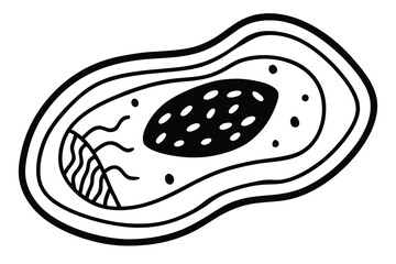 Black and white cartoon fish vector illustration for food design