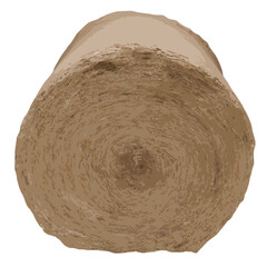 Fototapeta premium Round hay bale