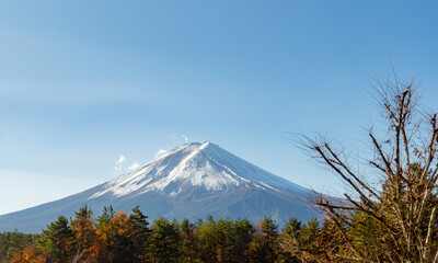 Fototapeta premium Mount Fuji, the iconic symbol of Japan, during the season of autumn foliage, a period of exceptional beauty.kawaguchiko,japan.
