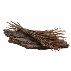 Dried Grass Bundle on Weathered Wood Isolated on Blue Transparent background
