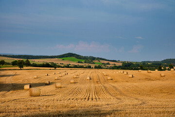 Straw swamps in the field. Bales of straw in the swampy countryside