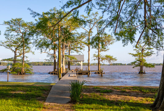 Port Arthur LA  Misc Landscapes