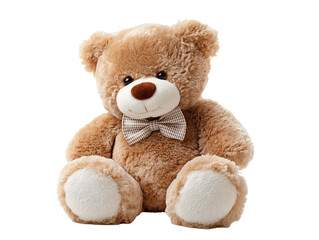 Obraz premium teddy bear isolated on white