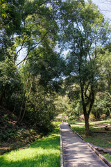 散策できる木道がある。
東高根森林公園中原区川崎市神奈川県-2025
