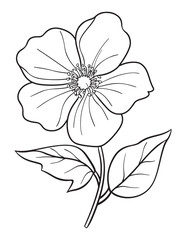 Simple Wildflower Line Art Coloring Page