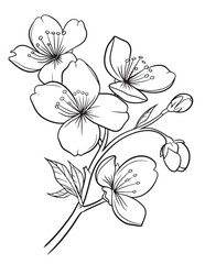 Elegant Cherry Blossom Branch with Blooming Petals – Spring Line Art Coloring Page
