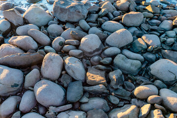 Pebbles scattered across a shoreline at sunset create a natural mosaic, showcasing diverse textures and colors in soft evening light