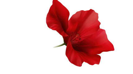 "Red Hibiscus Flower Isolated on Transparent Background &ndash; Tropical Bloom for Botanical and Design Projects"
