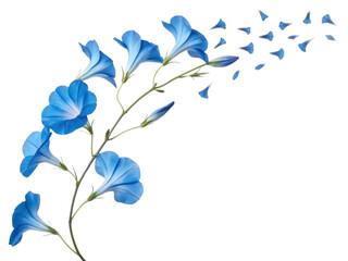 Gloxinia flowers bloom in vibrant blue hues, creating stunning visual display that captivates heart and soul