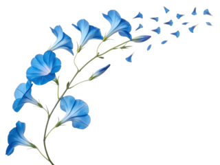 Gloxinia flowers bloom in vibrant blue hues, creating stunning visual display that captivates heart and soul