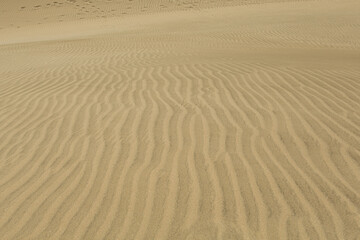 Textured Sand Dunes in Desert Landscape