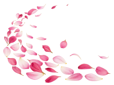 Delicate pink salvia flower petals gracefully swirl in beautiful dance, creating serene and enchanting atmosphere