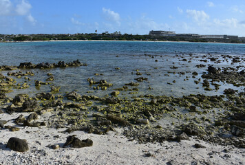 View of Baby Beach in Tropical Aruba