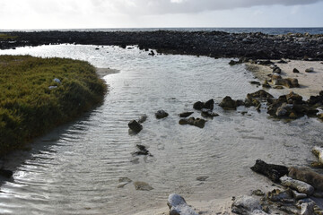 Obraz premium Shallow Tide Pool at Baby Beach in Aruba