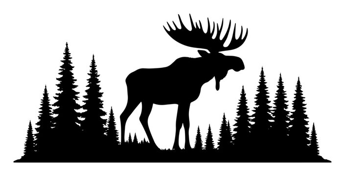 moose in forest silhouette wildlife nature vector illustration