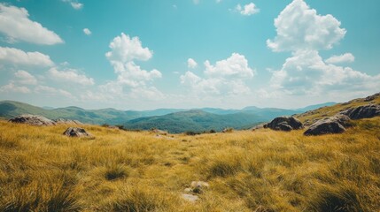 Fototapeta premium Vast, sun-drenched mountain meadow