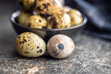 Obraz premium Spotted quail eggs on black table.