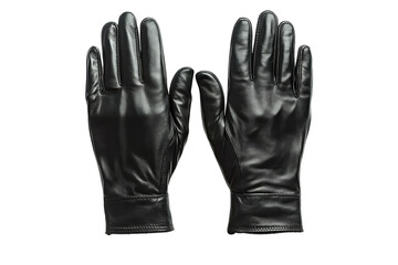 Two black leather gloves flat
