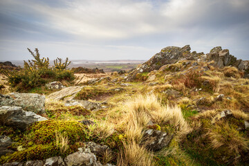 Rocks and vegetation on the moors and hills from the highest point of Brittany, France