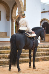 Young and beautiful woman riding a purebred Spanish black horse in a popular festival in Andalusia...