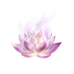 Fototapeta premium Glowing Lotus Flower with Ethereal Light