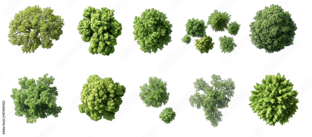 Poster a collection of trees and bushes in various sizes and shapes