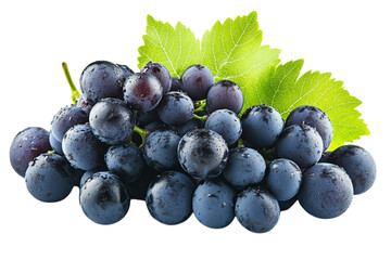 Cluster of dark ripe grapes