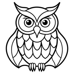 owl on white