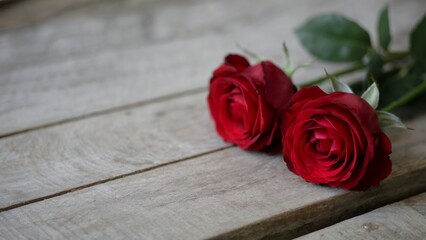 Two red roses lie on a rustic wooden surface, concept for romantic greeting cards and floral design