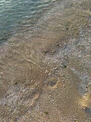 Wet sandy shoreline with gentle water ripples, small shells, scattered algae, and fine pebbles, creating natural patterns in the sand.