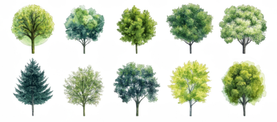 A collection of trees in various sizes and shapes