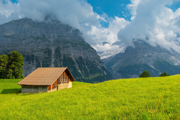 View on the alpine valley Grindelwald. Jungfrau, Switzerland. Under the Bernese alps. Mountain village.