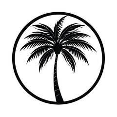 palm tree silhouette