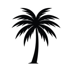 palm tree silhouette