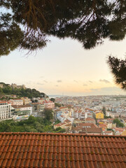 Sunset view over Lisbon rooftops framed by pine trees, warm evening light casting glow on colorful houses