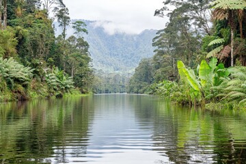 Serene lake nestled in a lush rainforest.  Tranquil waterway reflecting the surrounding greenery.  Misty mountains form a backdrop