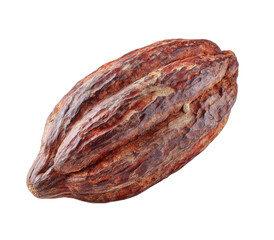 Fresh cacao pod close up shows rich texture and natural color tones