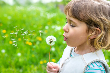 Child blowing dandelion in park. Selective focus.