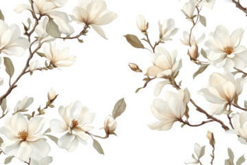 Magnolia sketch drawing transparent PNG isolated on white background ideal for artistic wall decor designs