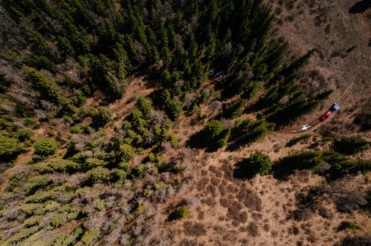 Fototapeta Aerial view of dense forest and off-road vehicles in Altai, Siberia
