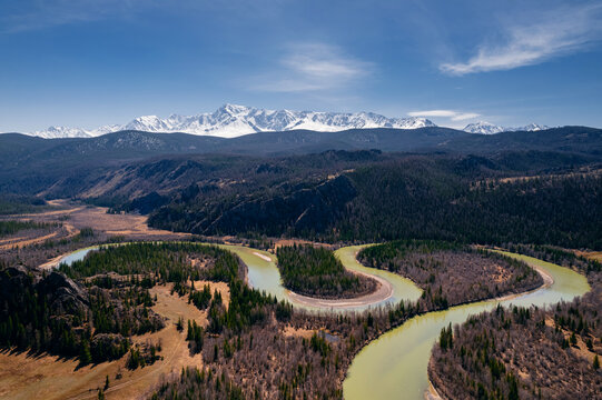 Fototapeta Aerial photo landscape winding river Chui meanders in mountains, forest trees with sunlight, Altai Russia, top view