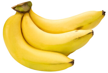 Banana is a popular tropical fruit with smooth yellow skin and soft, creamy flesh isolate on white background PNG File.