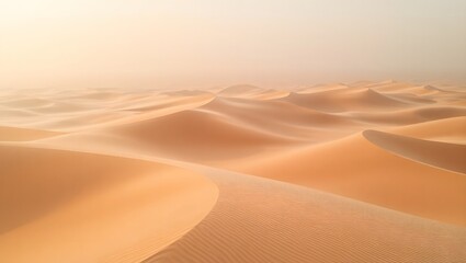 Golden Sand Dunes Flowing Across a Vast Desert Horizon at Sunset